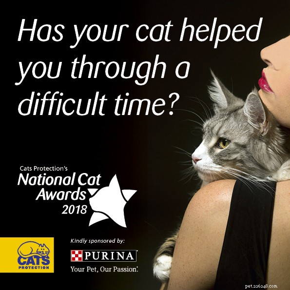 最も思いやりのある猫のファイナリスト– National Cat Awards 2018