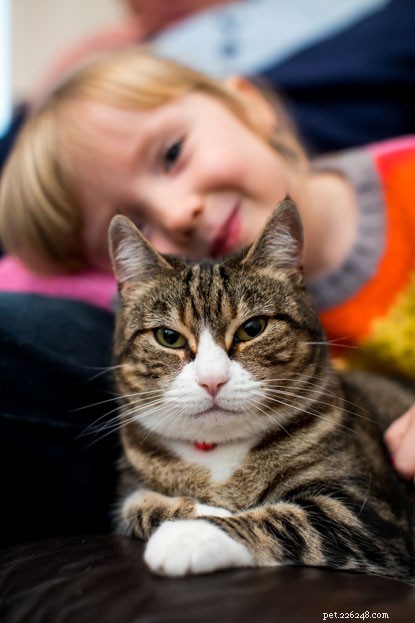 Kat die in een dierproeffaciliteit heeft gewoond, vindt een liefdevol huis om haar eigen te noemen.