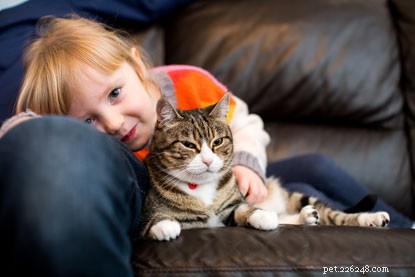 Katt som bodde på en djurförsöksanläggning hittar ett kärleksfullt hem att kalla sitt eget.