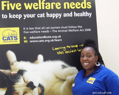 Знаменитость Чиззи Акудолу добровольно помогает кошкам в нашем центре приюта в Митчеме.