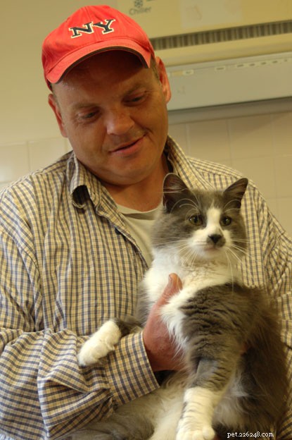 シェーンが恐ろしい攻撃から貧しいモギーを救ったとき、彼は彼の人生を好転させた猫の友人を手に入れました。 