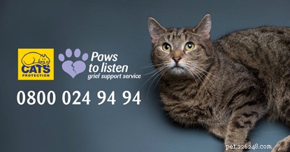 ペットの猫を失った愛する人を助ける方法。 