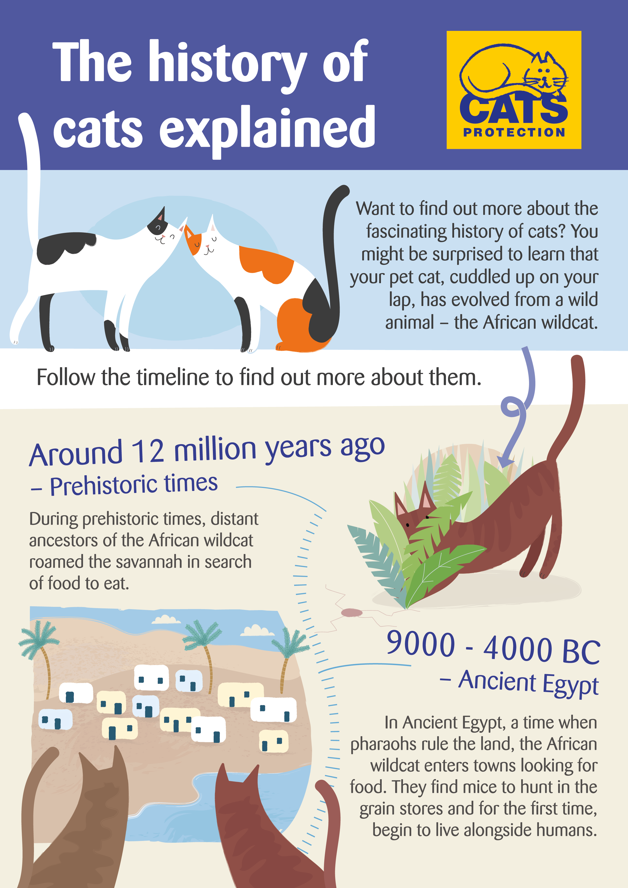 Meer informatie over katten en hun geschiedenis.