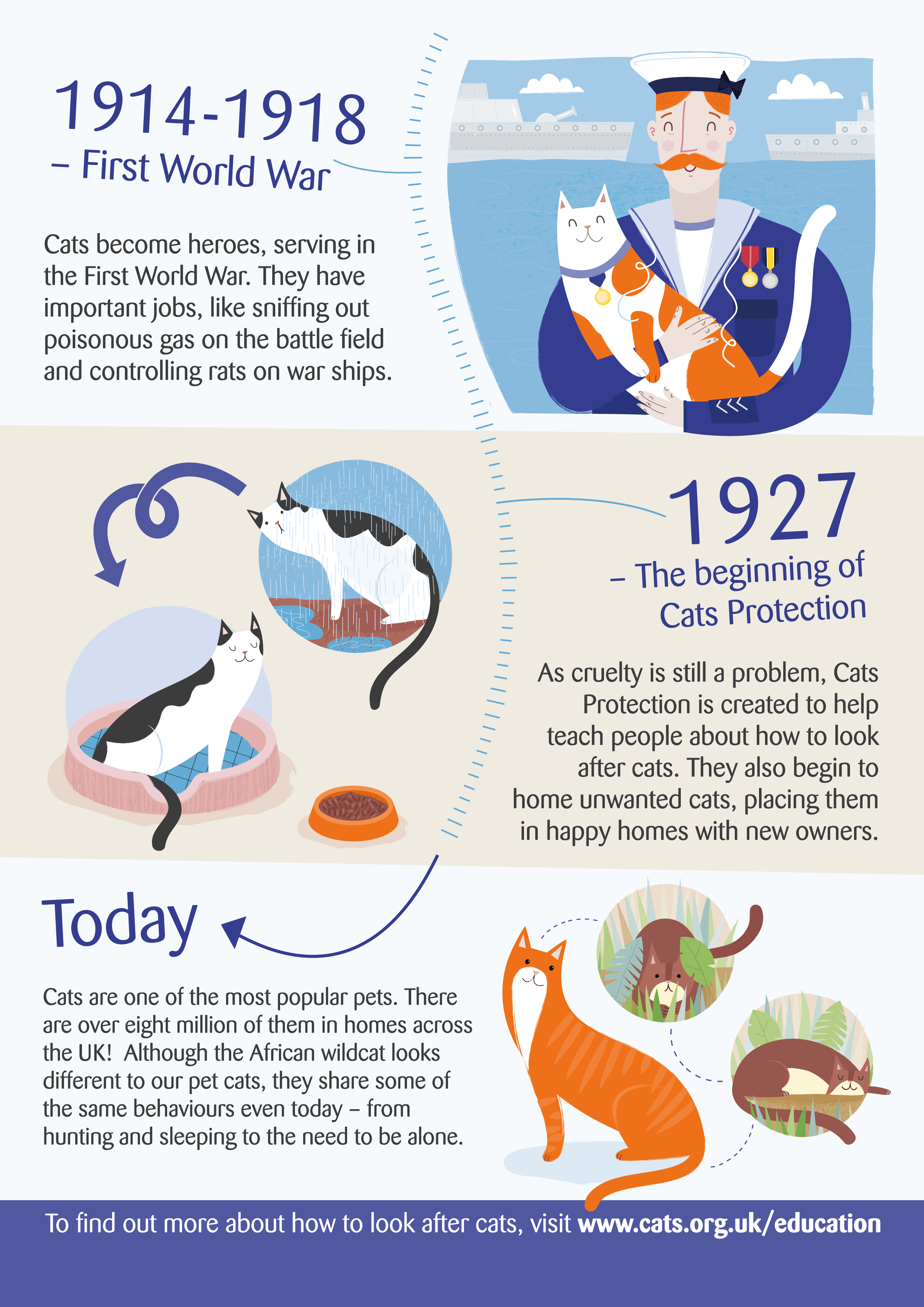 Узнайте о кошках и их истории.