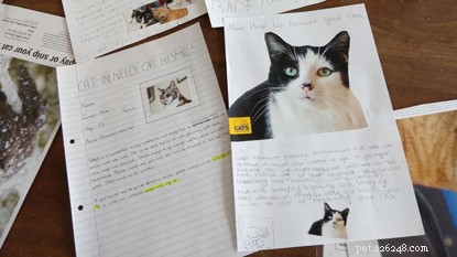 웨일즈의 학교 강연은 어린이들에게 고양이 복지 필요성에 대해 가르칩니다.