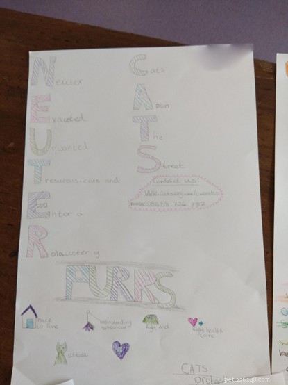 Schoolgesprekken in Wales leren kinderen over de behoeften van kattenwelzijn.