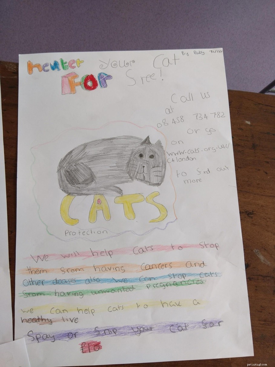 ウェールズでの学校の講演では、猫の福祉の必要性について子供たちに教えています。