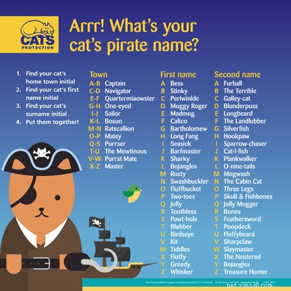 Scopri il nome del tuo primo ufficiale felino con il nostro generatore di nomi pirata.