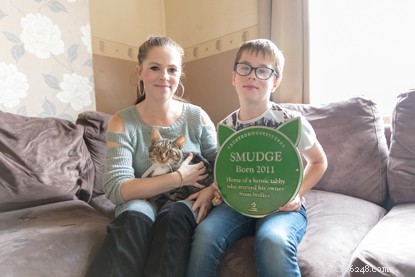 Donos de animais de estimação:Indique seu gato para ser homenageado com uma placa!