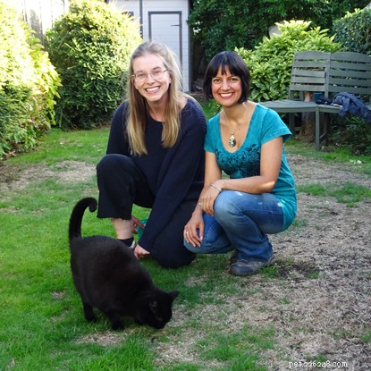 Het verhaal van een mooie zwarte kat die het leven van haar baasje ten goede heeft veranderd. 