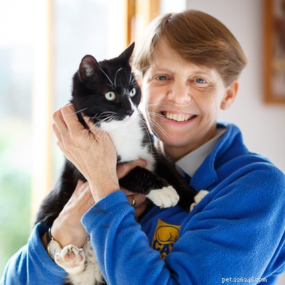 Volontariato a Natale:come i nostri volontari dedicati continuano a prendersi cura dei gatti durante le vacanze.