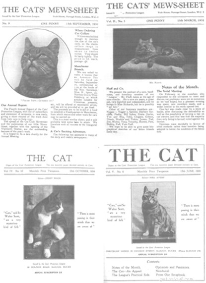 Jessey Wade는 1927년 고양이 보호 리그(Cats Protection League)의 창립자였습니다. 그녀는 동물 권리 운동가이자 믿을 수 없을 정도로 영감을 주는 여성이었습니다. 