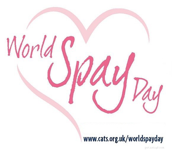 Je to opět World Spay Day, den, kdy se spojujeme s dalšími charitativními organizacemi pro dobré životní podmínky zvířat, abychom propagovali výhody kastrace – pro kočky a jejich majitele .