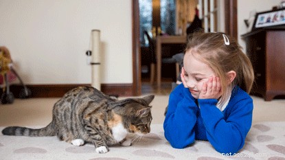 Come insegnare a tuo figlio a prendersi cura del tuo gatto e a legarlo