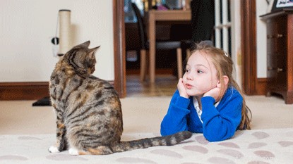 Come insegnare a tuo figlio a prendersi cura del tuo gatto e a legarlo
