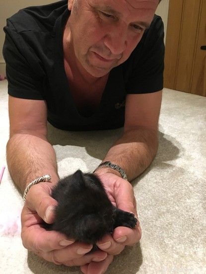 Frankie Seaman s kitten bevordert succesverhaal