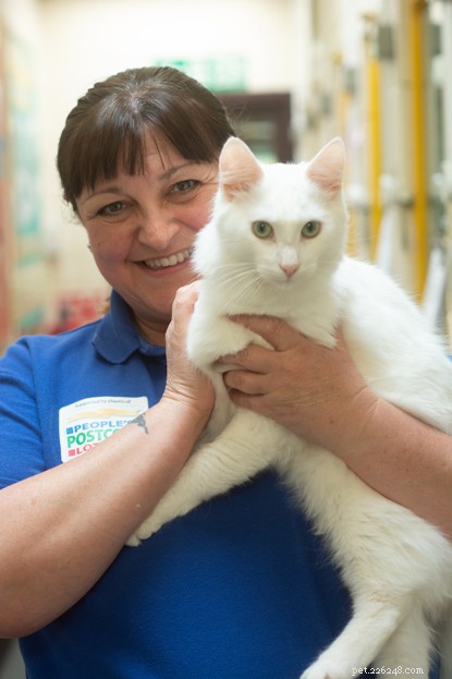 Un gatto adottato guida una donna al lavoro dei suoi sogni con Cats Protection.