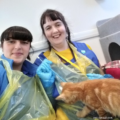 We ontmoeten een aantal zeer toegewijde vrijwilligers van Cats Protection.