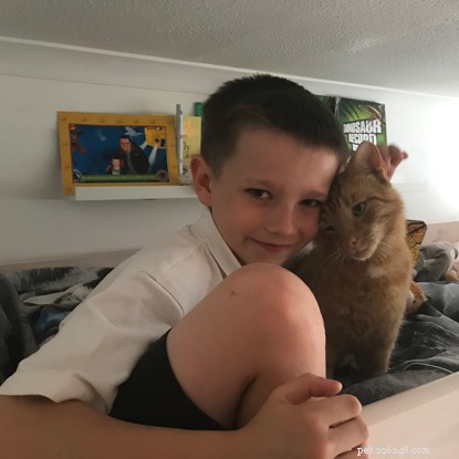 Пропавший кот Монти воссоединился со своей семьей через два года после прогулки.