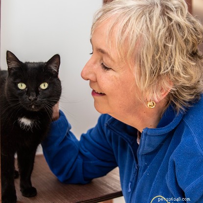 Maak kennis met enkele van onze ongelooflijke vrijwilligers die geweldige dingen doen voor katten en hun welzijn.
