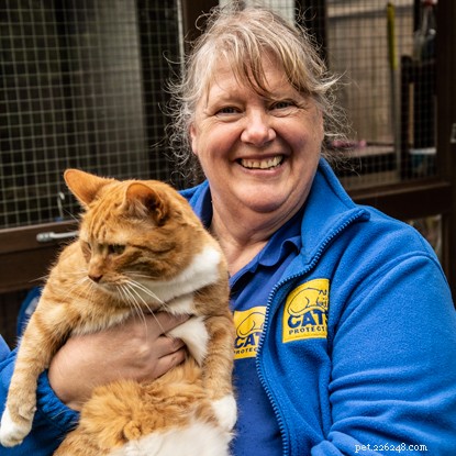 Maak kennis met enkele van onze ongelooflijke vrijwilligers die geweldige dingen doen voor katten en hun welzijn.