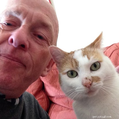 Conheça Spike, o gato que ajuda seu dono a lidar com problemas de saúde complexos.