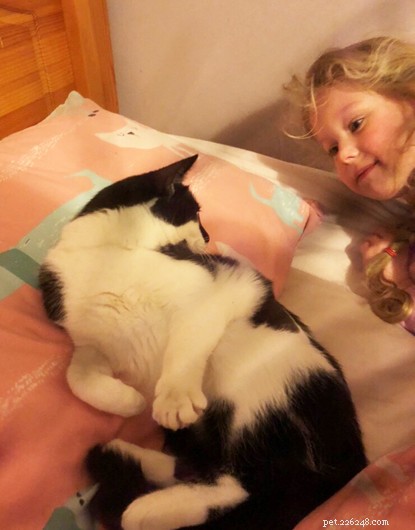 最高の仲間–猫のドミノと自閉症の女の子のマーニー。 