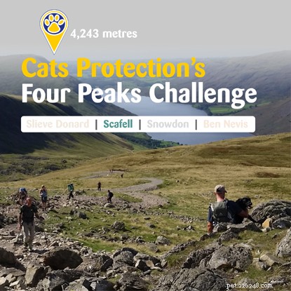 Har du vad som krävs för att tackla vår Four Peaks Challenge?