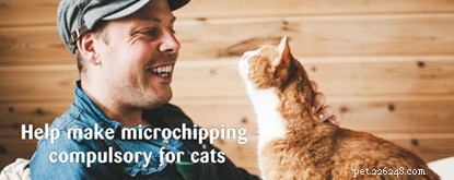 Por que a dona de gatos Louise apoia totalmente a campanha Cats Protections para tornar o microchip obrigatório para gatos.