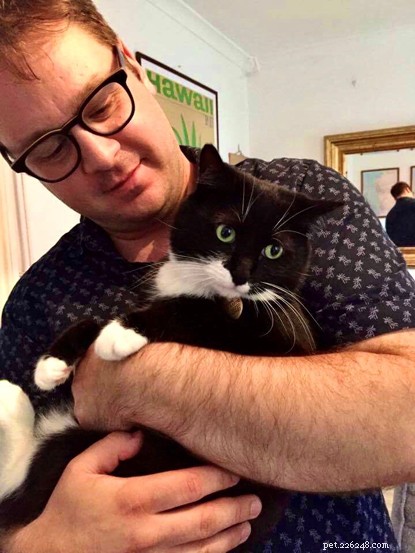 Receitas de cozimento de Kim-Joy e Tom Anderson para amantes de gatos