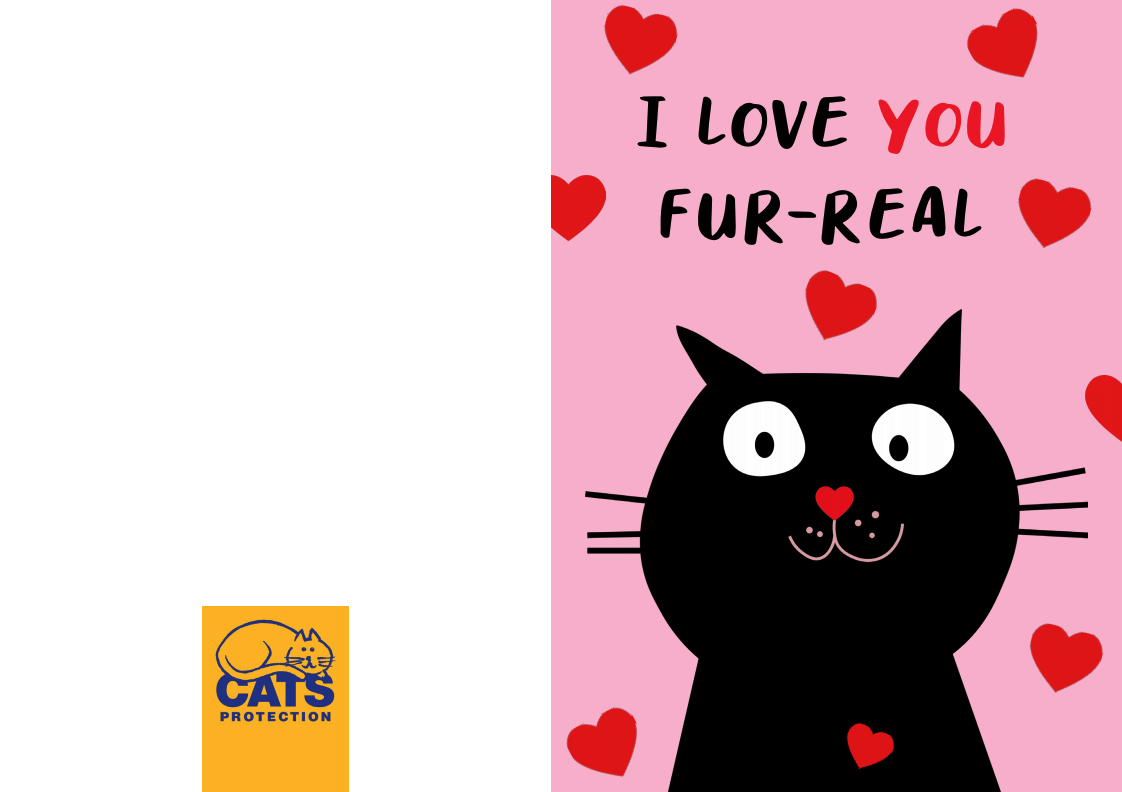 Miljövänliga alla hjärtans dag-kort för katter och kattälskare
