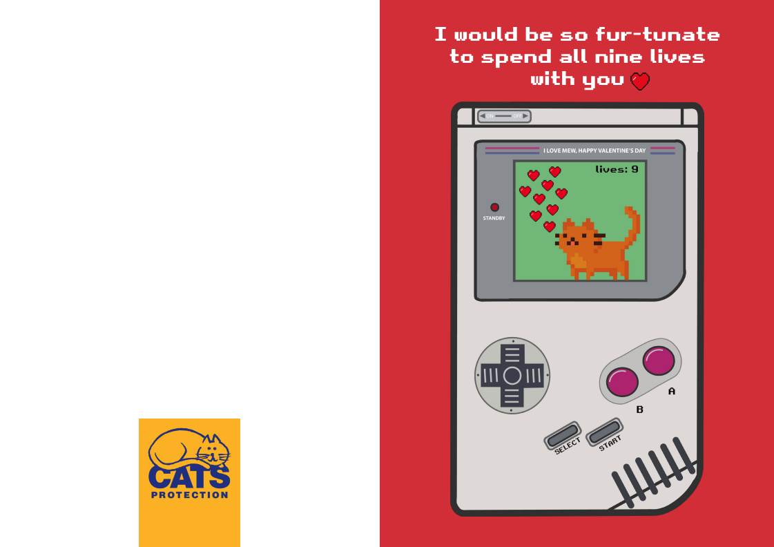 Miljövänliga alla hjärtans dag-kort för katter och kattälskare