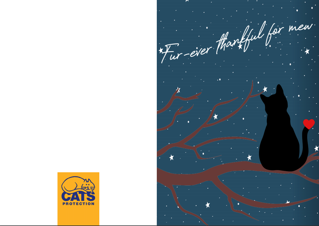 Экологичные открытки ко Дню Святого Валентина для кошек и их любителей