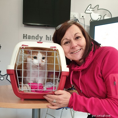 Katt med kronisk njursjukdom erbjuds sitt sista hem av en vänlig volontär.