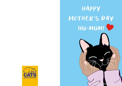고양이를 사랑하는 엄마를 위한 야옹거리는 어머니의 날 카드