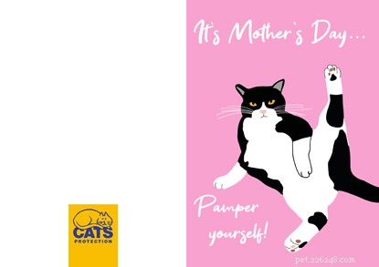 Cartões de Dia das Mães maravilhosos para mães que amam gatos
