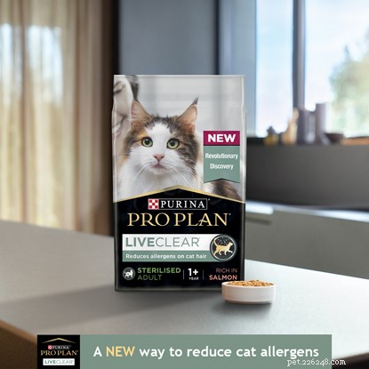 Se sei allergico ai gatti ma ne vuoi uno, scopri come puoi essere allergico ad alcuni gatti e non ad altri, se le allergie ai gatti scompaiono esposizione e come avere un gatto quando sei allergico