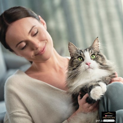 Si vous êtes allergique aux chats mais que vous en voulez un, découvrez comment vous pouvez être allergique à certains chats et pas à d autres, si les allergies aux chats disparaissent avec exposition et comment avoir un chat quand on est allergique