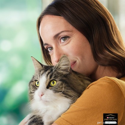 Pokud jste alergičtí na kočky, ale chcete nějakou, zjistěte, jak můžete být alergičtí na některé kočky a na jiné ne, pokud alergie na kočky zmizí s expozice a jak mít kočku, když jste alergický