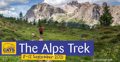 De vijfdaagse reis van man en vrouw naar de Alpen zal geld inzamelen voor dakloze katten en kittens. 