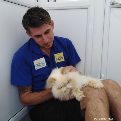 Zaměstnanec ochrany koček ujde za měsíc pro charitu více než 200 mil.