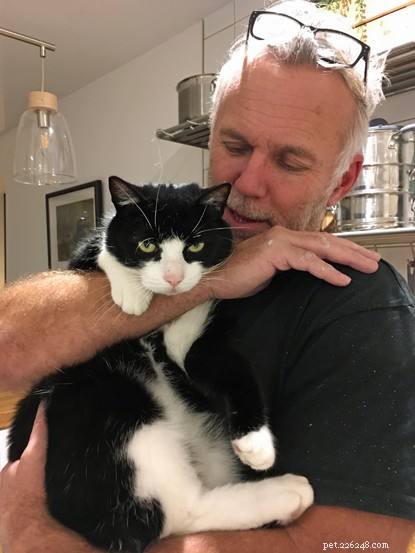 Boo katten försvann och gjorde sin lokala The Range-butik till sitt tillfälliga hem – tills vår Gosport-avdelning skannade honom efter ett mikrochip 