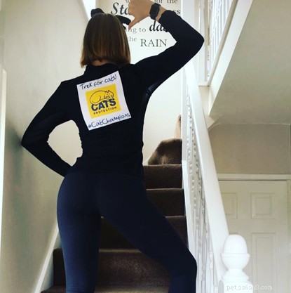 Conheça alguns de nossos apoiadores que escalaram suas escadas em casa para arrecadar dinheiro para gatos 