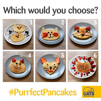 Recette vegan de pancakes en forme de chat 