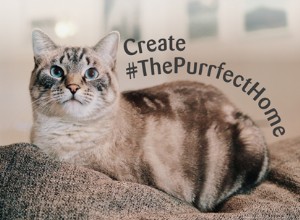 Основные советы от экспертов по дизайну интерьеров о том, как создать #ThePurrfectHome для вас и вашей кошки
