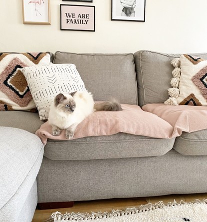 Hlavní tipy od odborníků na interiérový design, jak vytvořit #ThePurrfectHome pro vás a vaši kočku