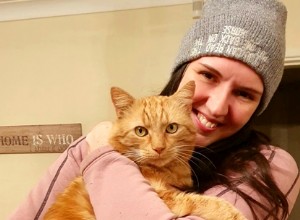 Claire Nicklin은 두 명의 새로운 고양이 가족을 찾은 후 Cats Protection을 위한 기금 마련을 위한 야심 찬 도전을 시작했습니다. 
