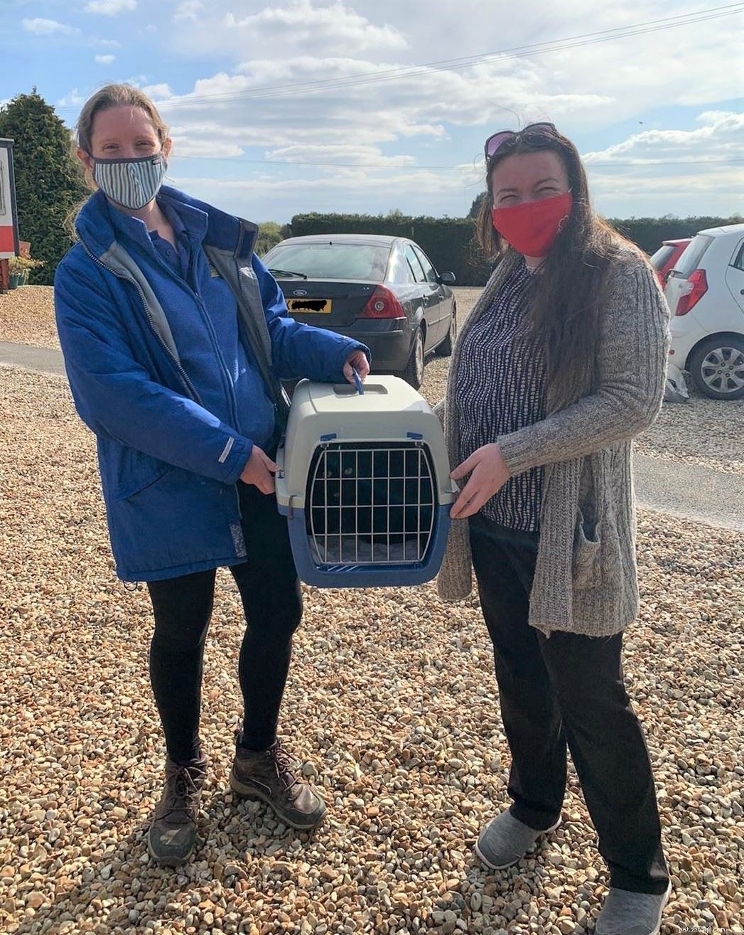 Gemma Barbieri était en larmes d incrédulité après avoir retrouvé son chat Rose grâce à Cats Protection scannant sa puce électronique 