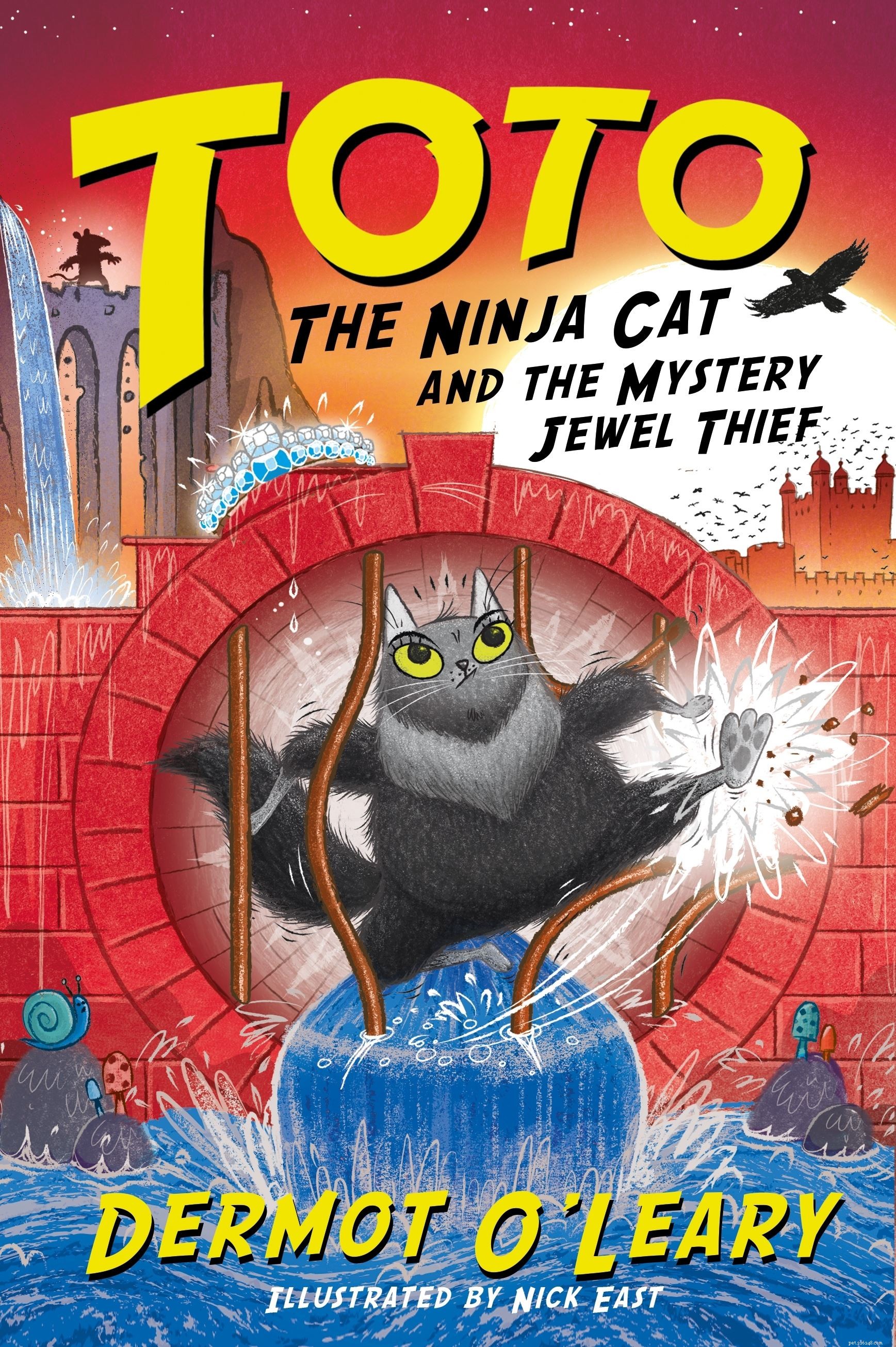 Para comemorar o lançamento de seu novo livro Toto the Ninja Cat, Dermot O Leary responde a perguntas da Cats Protection e jovens fãs de gatos 