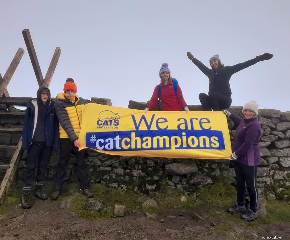 En grupp modiga kattälskare besteg Wales Snowdon-berg under utmanande förhållanden för att samla in pengar till katter